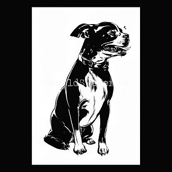 Donnie 2020 - Dennis Brown - Postcard A6 - 1607