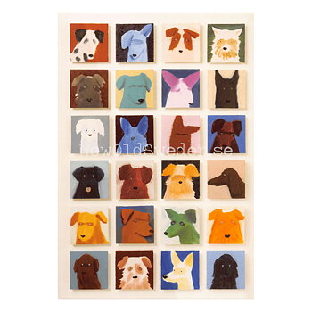 24 Dogs - Holly Frean - 1607
