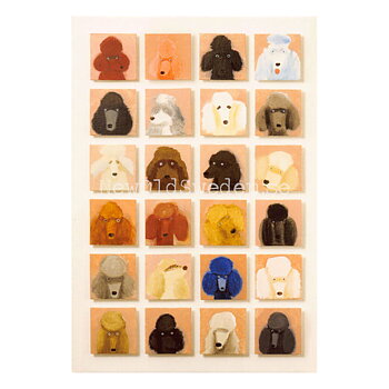 24 Poodles 2019 - Holly Frean - Postcard A6 - 1607