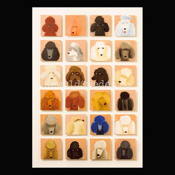 24 Poodles 2019 - Holly Frean - Postcard A6 - 1607