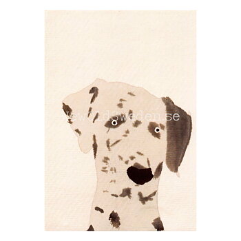 Dalmatian 2019 - Holly Frean - Postcard A6 - 1607