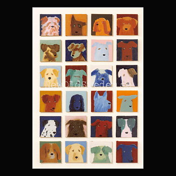 24 Dogs 2019 - Holly Frean - Postcard A6 - 1607