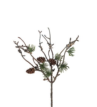 LÄRKKVIST - 25cm