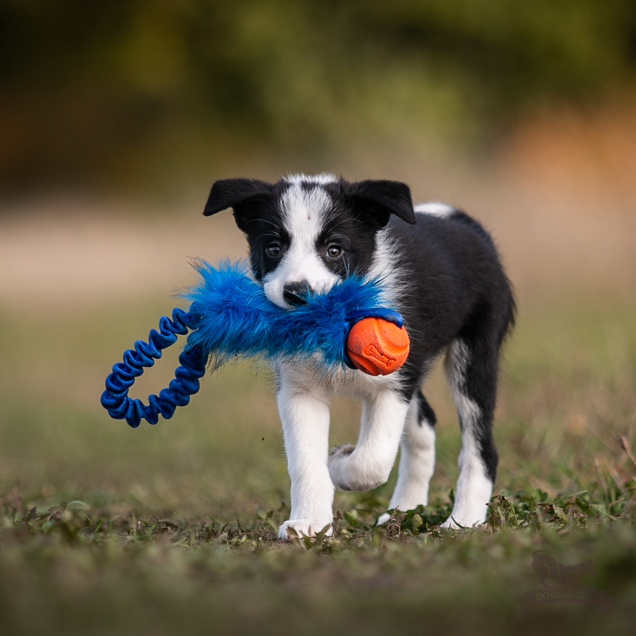 Bungee Pocket Tug Fake Fur with Chuckit