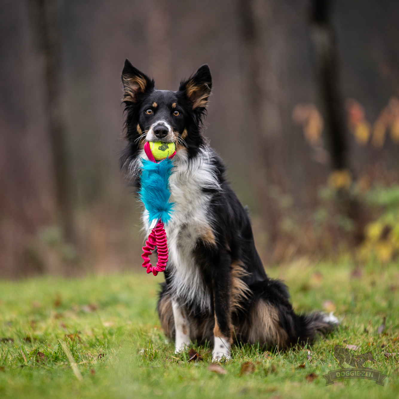 Bungee Pocket Tug Fake Fur with KONG Air Squeaker Ball