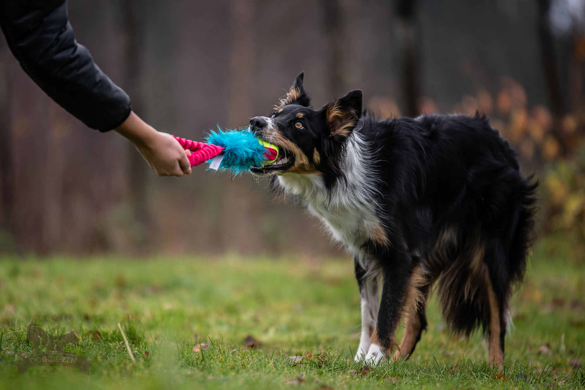Bungee Pocket Tug Fake Fur with KONG Air Squeaker Ball - 2