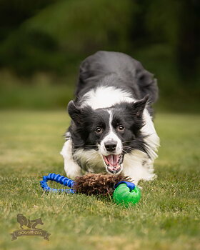 Bungee Pocket Tug Sheepskin with Funball