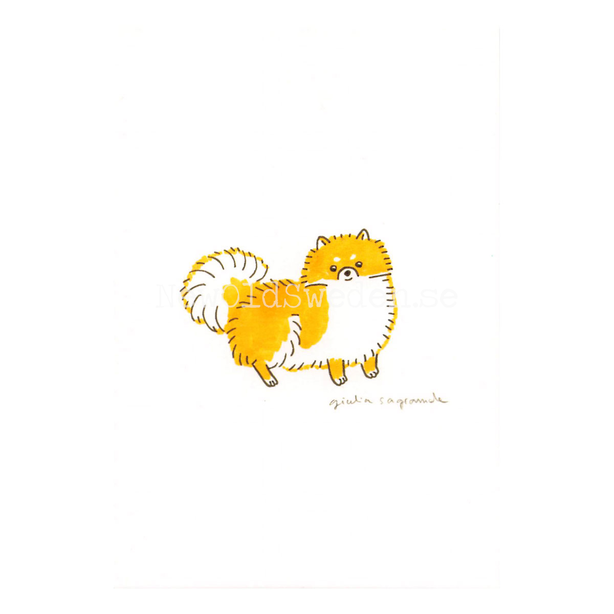 Pomeranian 2019 - Giulia Sagramola - Postcard A6 - 1607 - 2