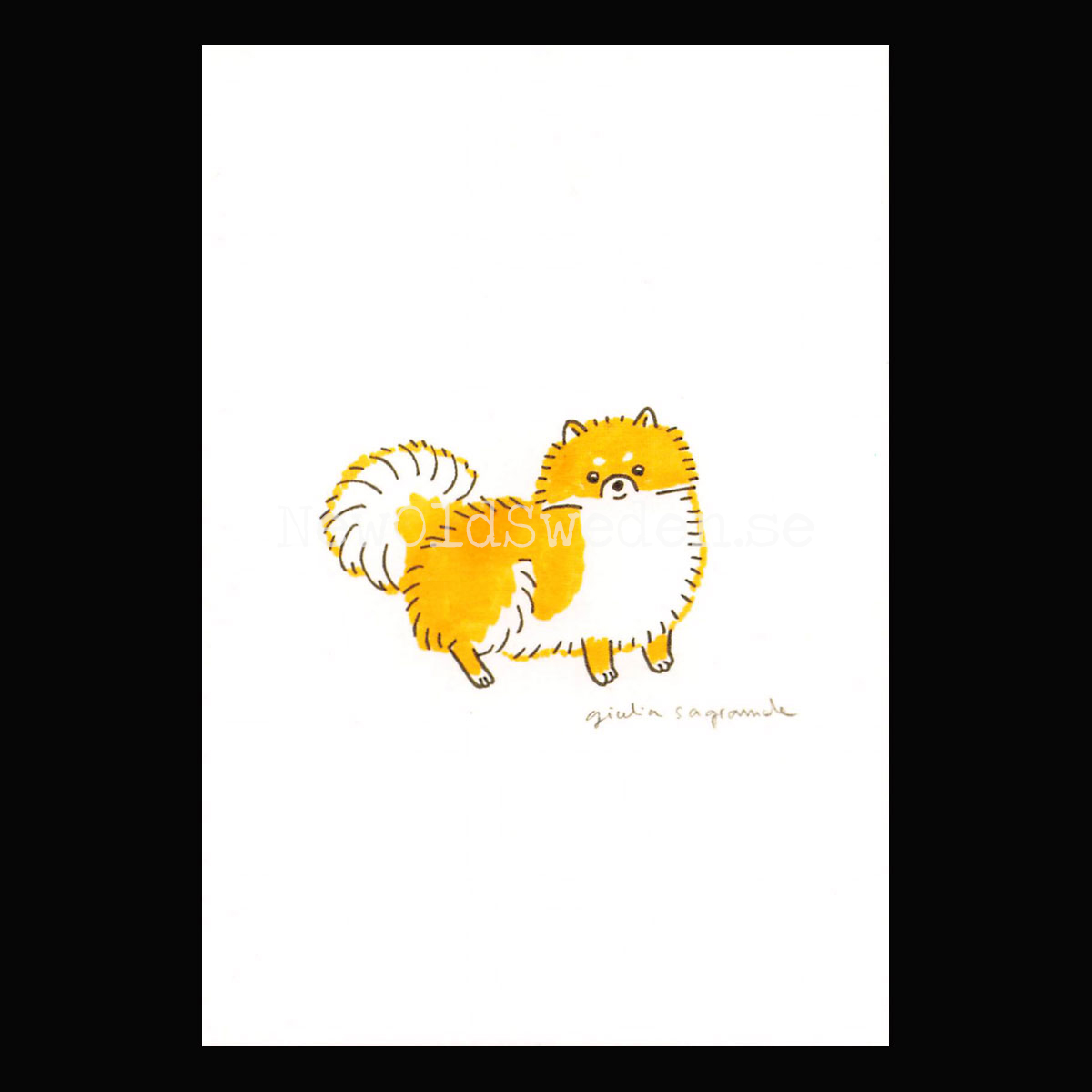 Pomeranian 2019 - Giulia Sagramola - Postcard A6 - 1607