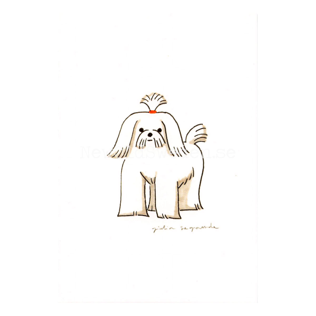 Maltese 2019 - Giulia Sagramola - Postcard A6 - 1607 - 2