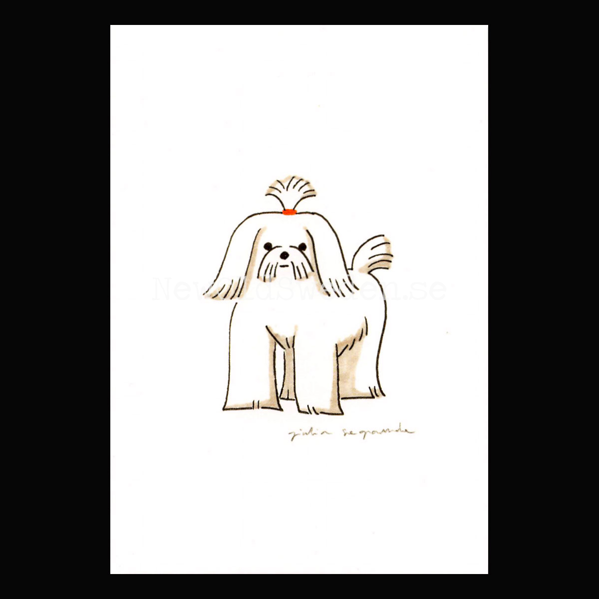 Maltese 2019 - Giulia Sagramola - Postcard A6 - 1607