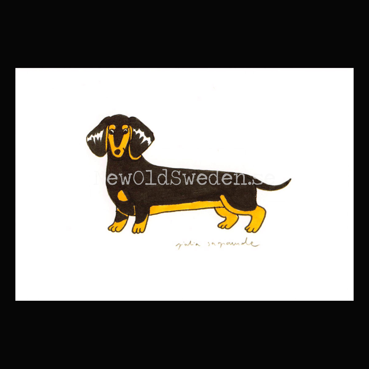 Dachshund 2019 - Giulia Sagramola - Postcard A6 - 1607