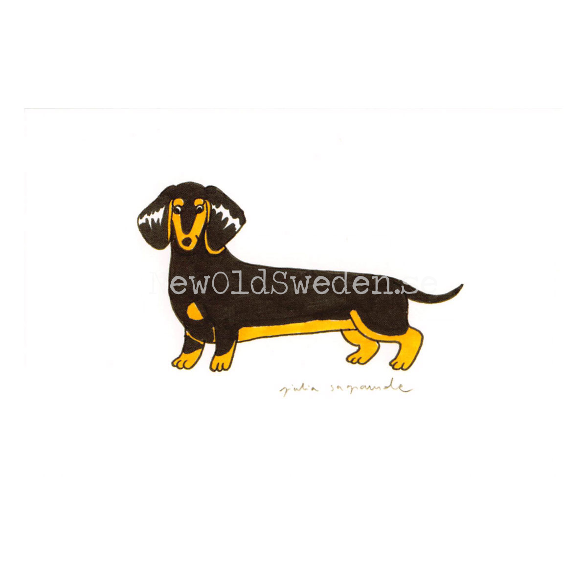 Dachshund 2019 - Giulia Sagramola - Postcard A6 - 1607 - 2
