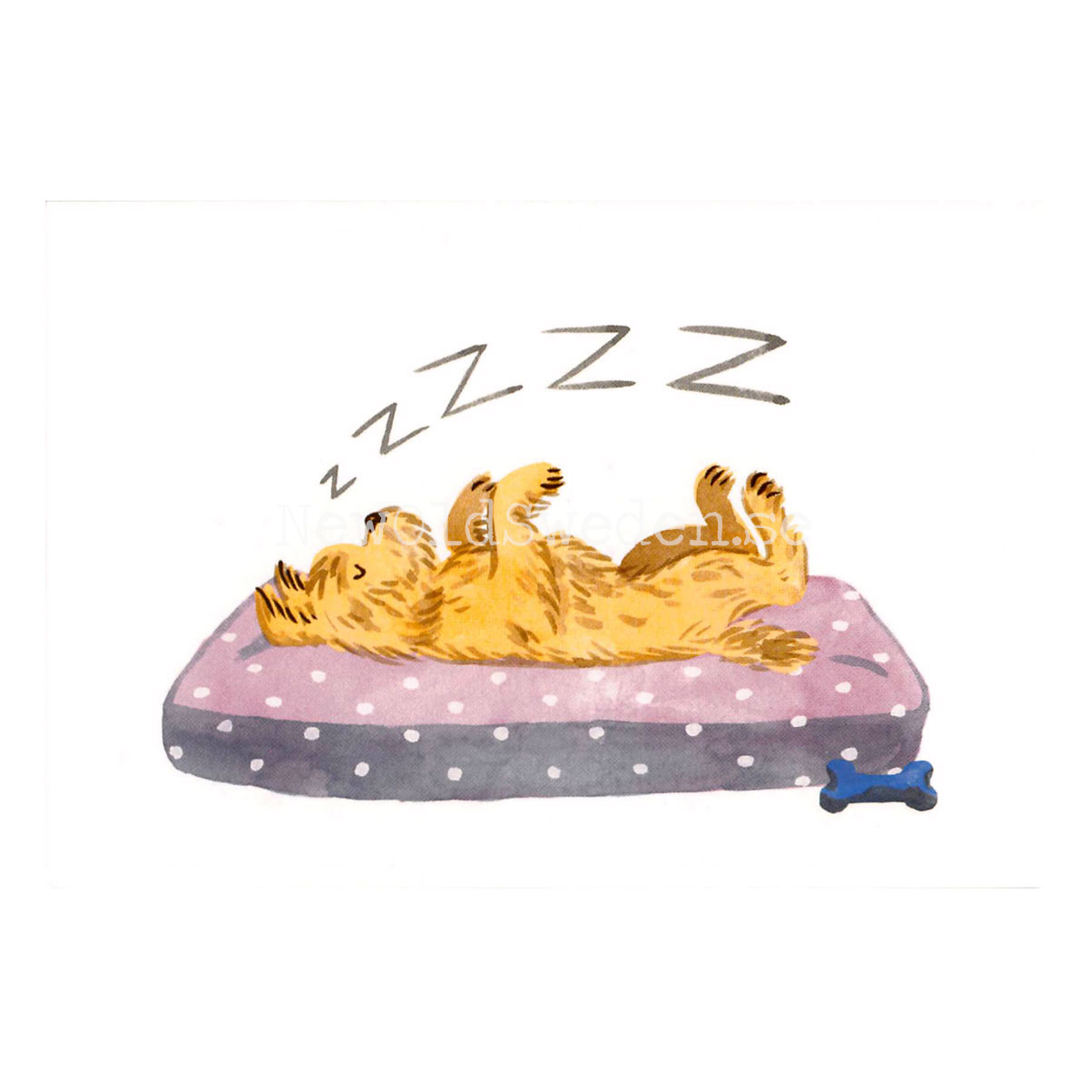 Sleepy Terrier 2014 - Giulia Sagramola - Postcard A6 - 1607 - 2