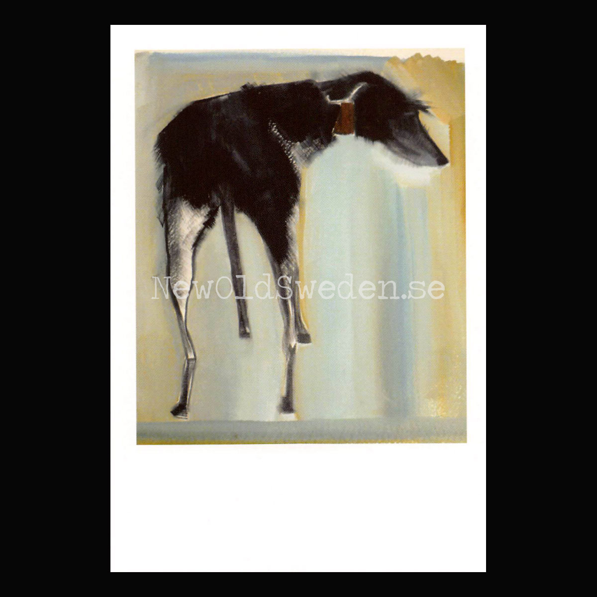 Purdey 2010 - Sally Muir - Postcard A6 - 1607