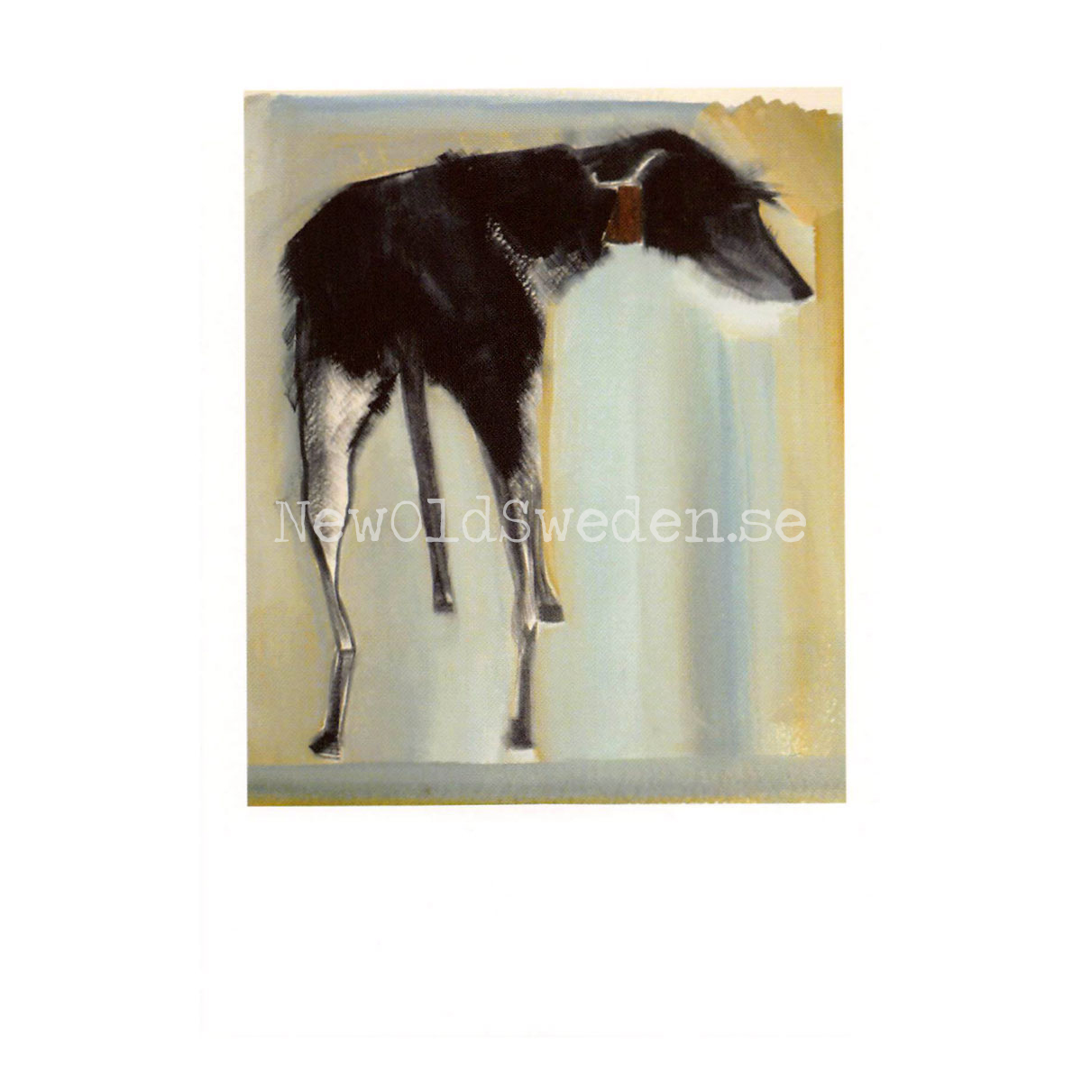 Purdey 2010 - Sally Muir - Postcard A6 - 1607 - 2