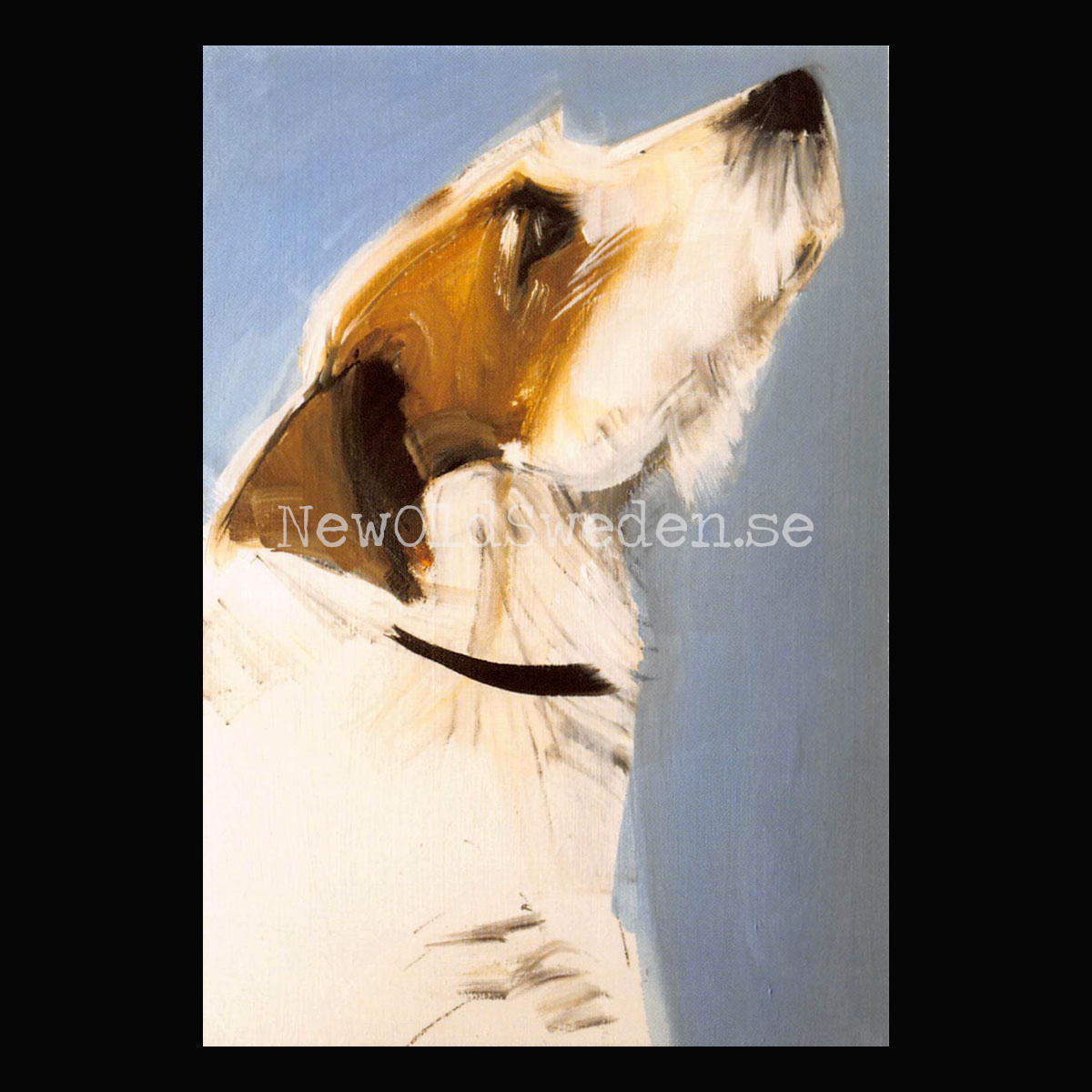 Enzo 2019 - Sally Muir - Postcard A6 - 1607