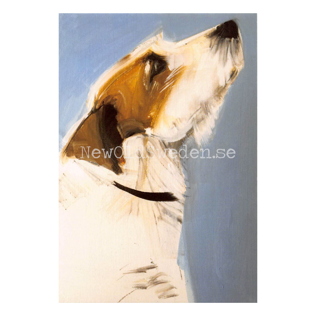 Enzo 2019 - Sally Muir - Postcard A6 - 1607 - 2