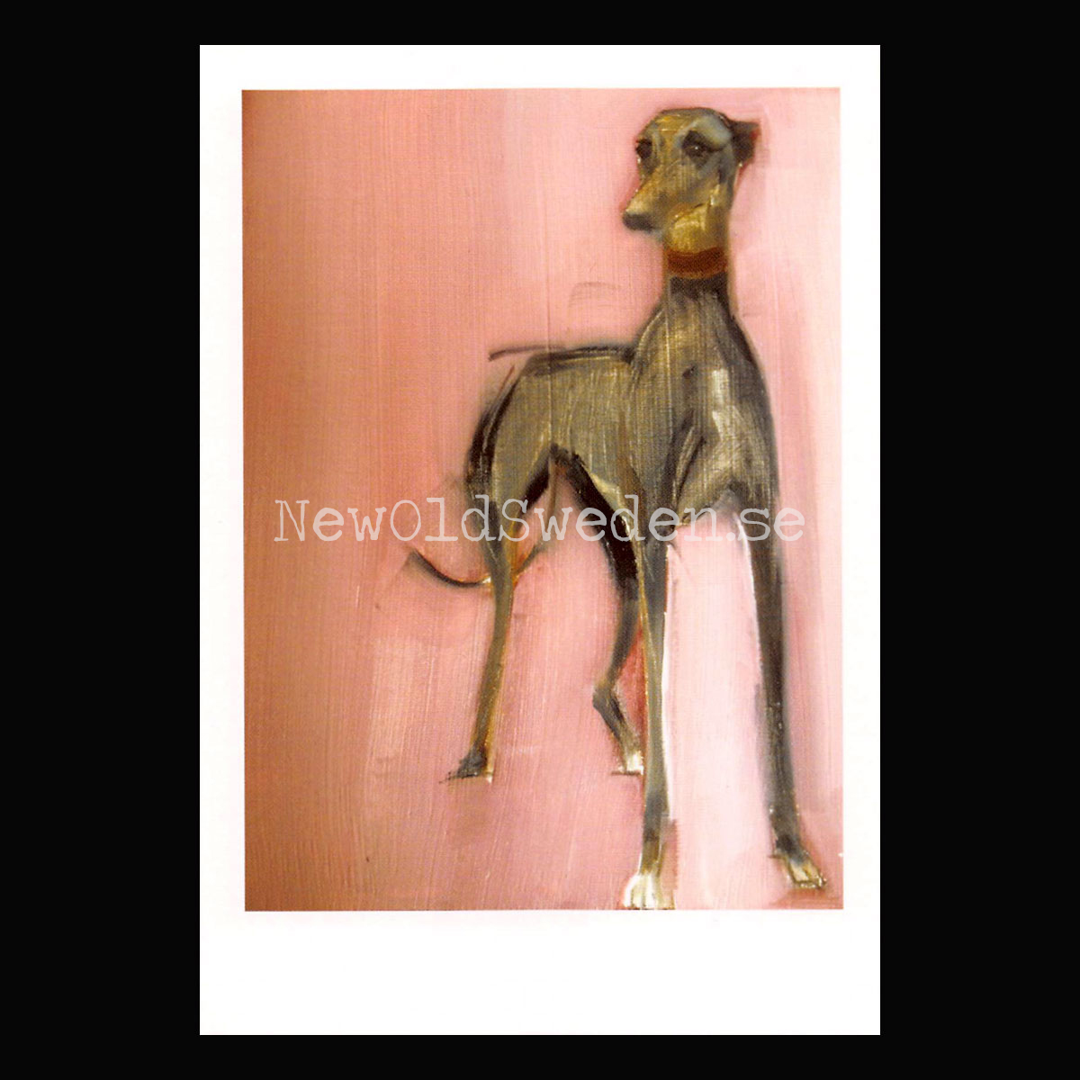 Hound on Pink 2014 - Sally Muir - Postcard A6 - 1607