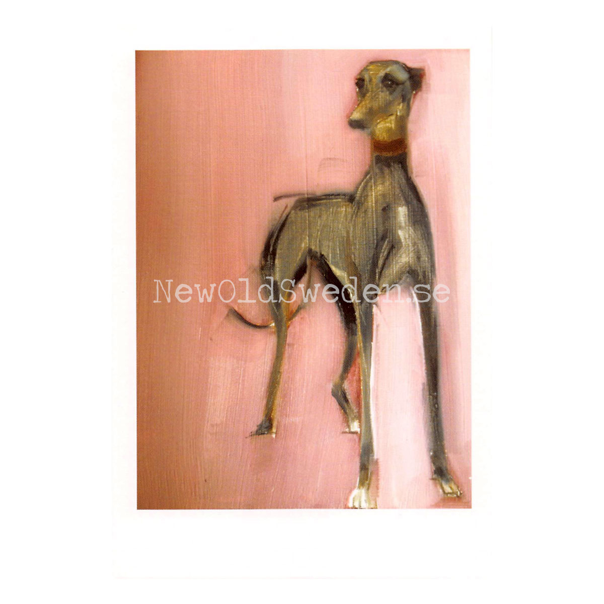 Hound on Pink 2014 - Sally Muir - Postcard A6 - 1607 - 2
