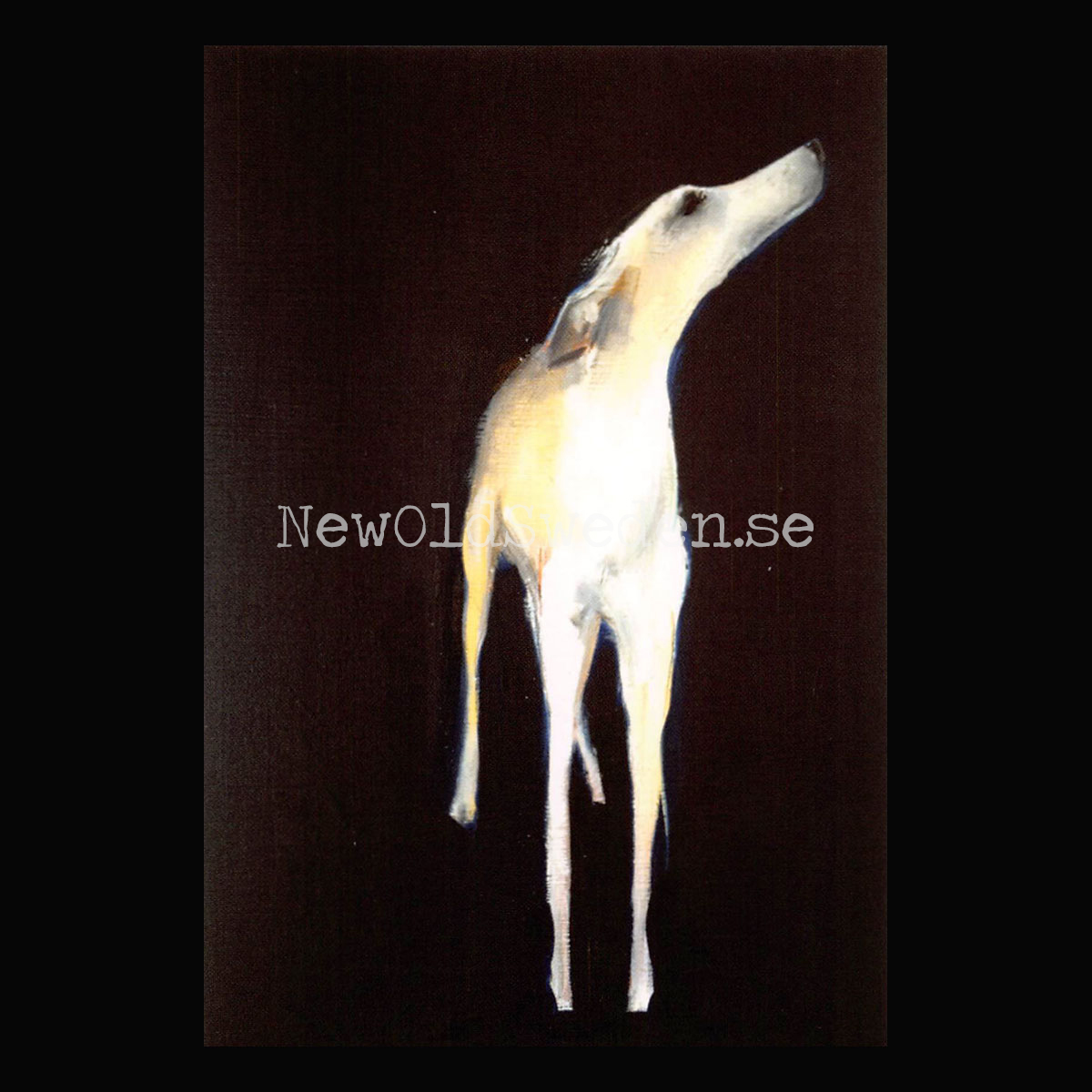 Lily 2015 - Sally Muir - Postcard A6 - 1607