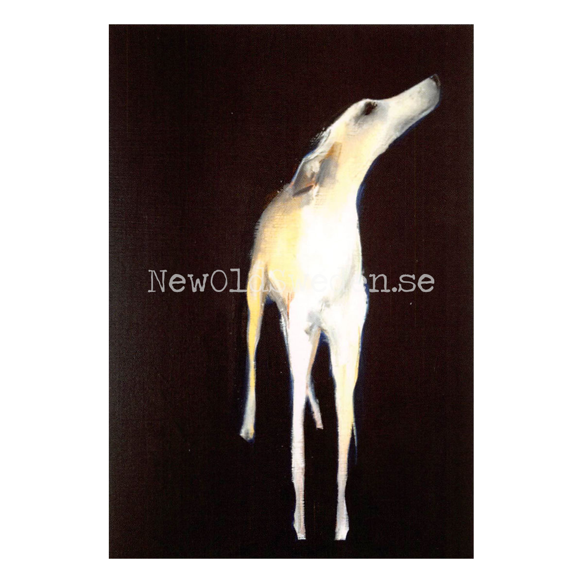 Lily 2015 - Sally Muir - Postcard A6 - 1607 - 2