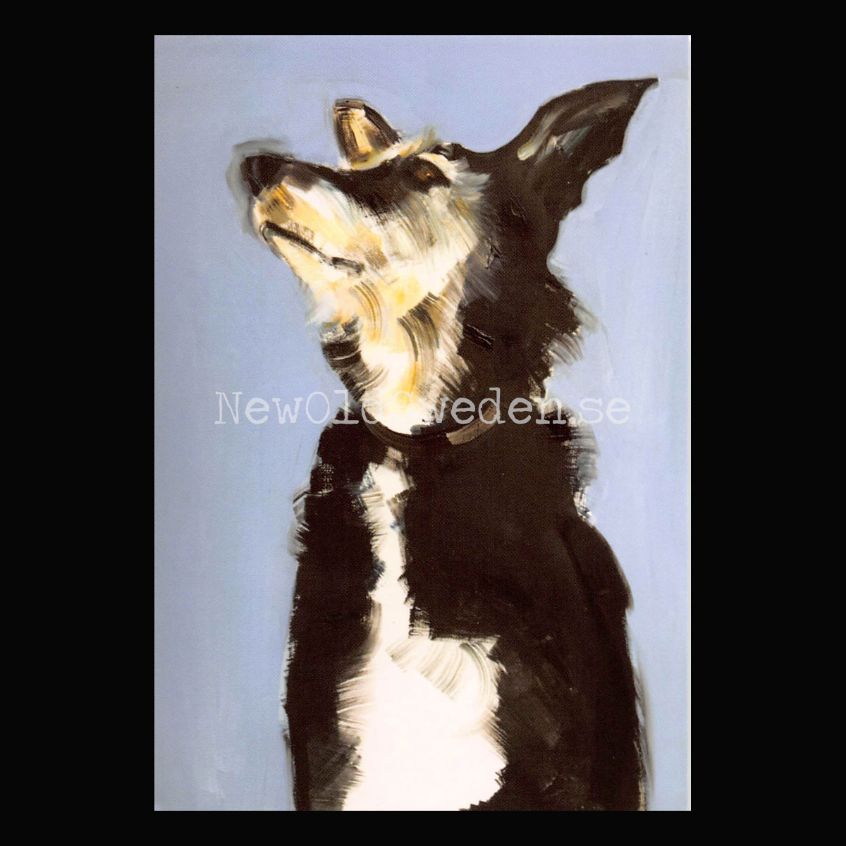 Molly 2017 - Sally Muir - Postcard A6 - 1607