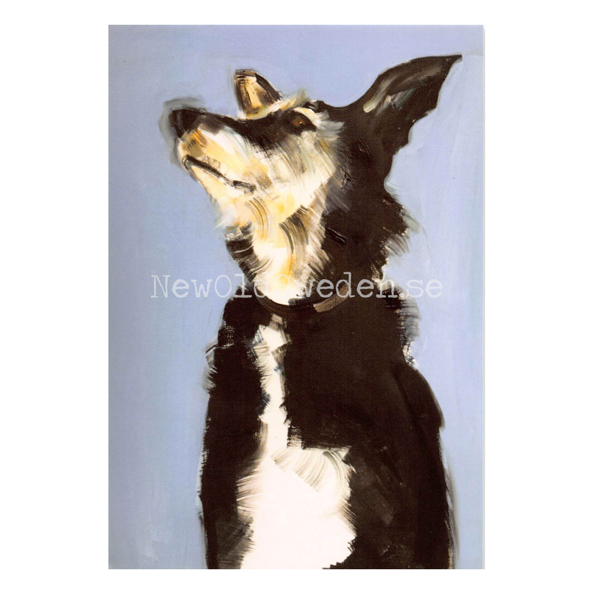 Molly 2017 - Sally Muir - Postcard A6 - 1607 - 2