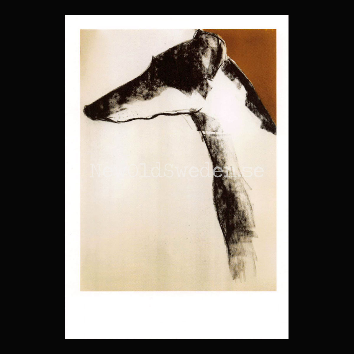 Galgo 2019 - Sally Muir - Postcard A6 - 1607