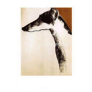 Galgo 2019 - Sally Muir - Postcard A6 - 1607