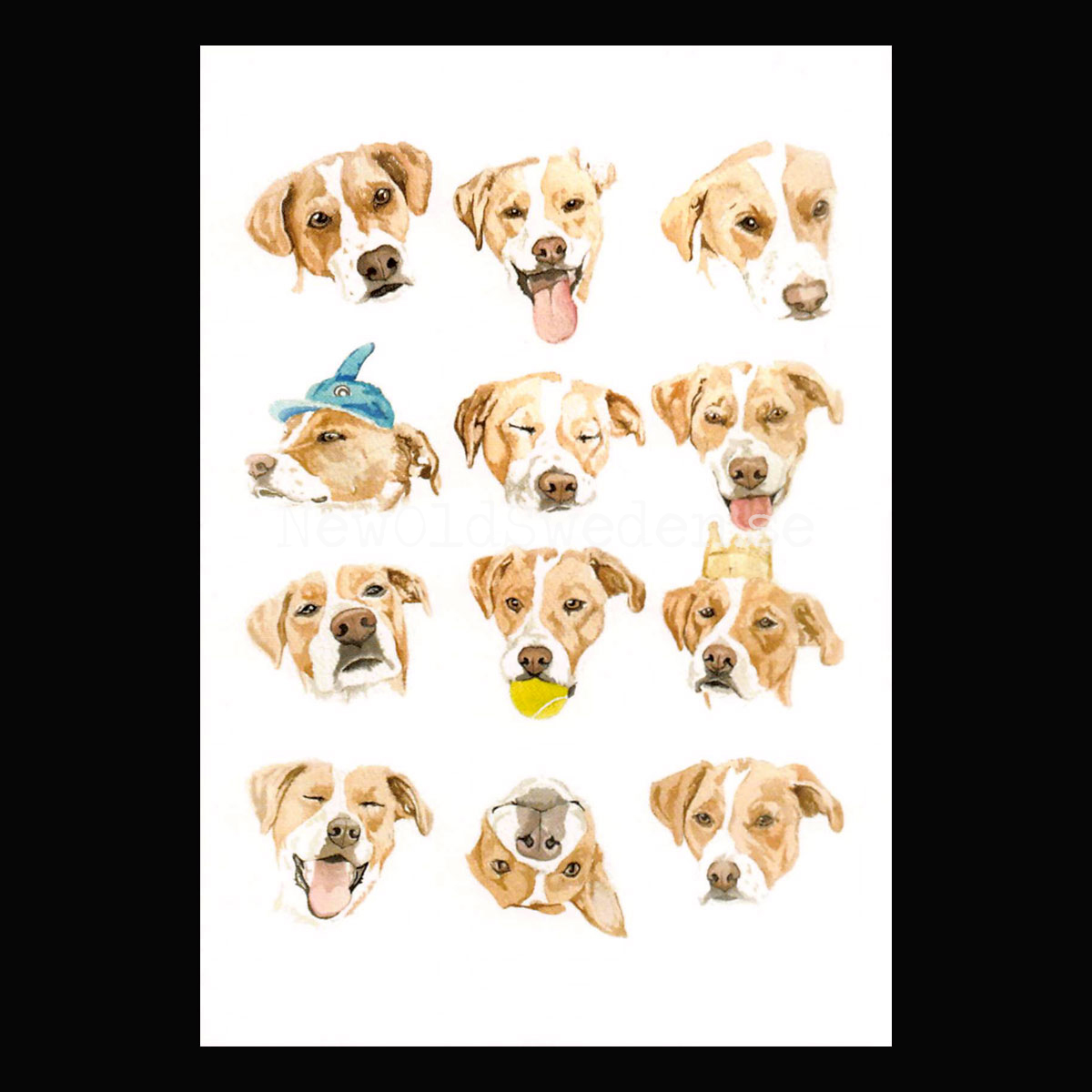 Pupper Expression 2020 - Wallace May - Postcard A6 - 1607