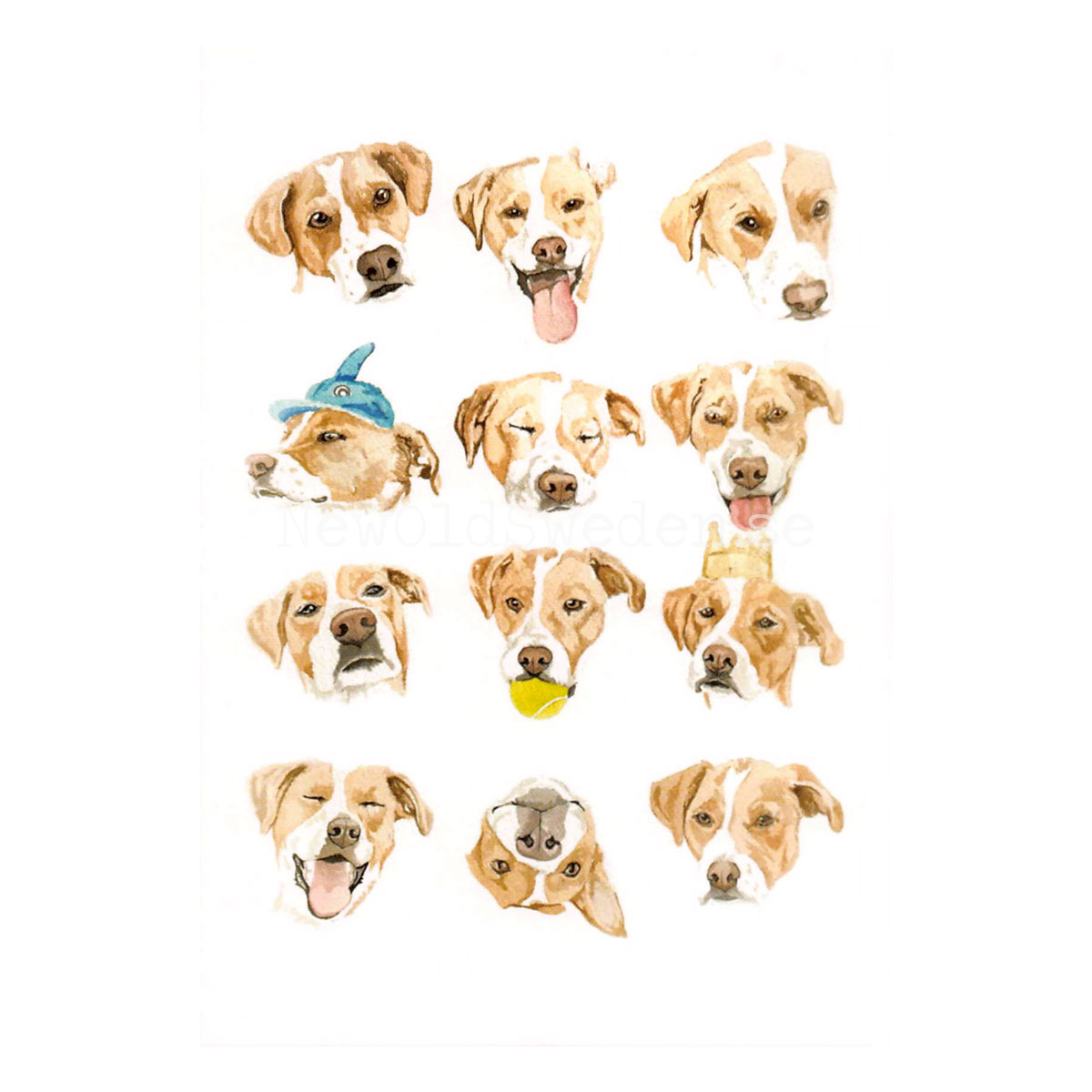 Pupper Expression 2020 - Wallace May - Postcard A6 - 1607 - 2