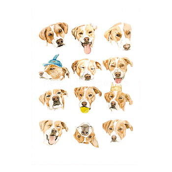 Pupper Expression 2020 - Wallace May - Postcard A6 - 1607