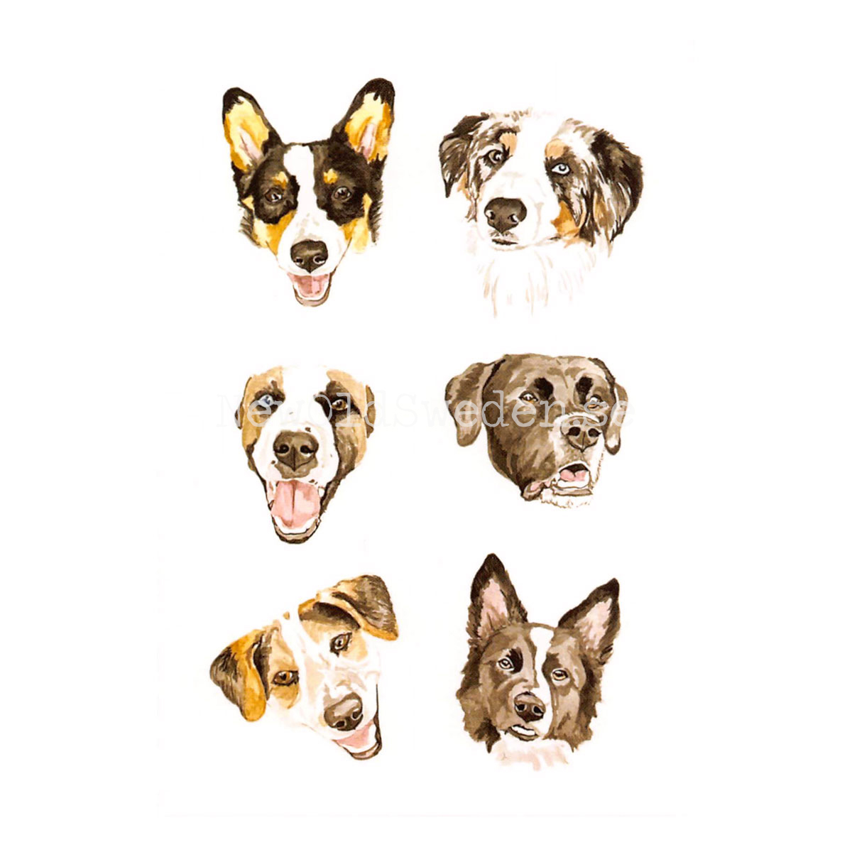 Pup Chart 2020 - Wallace May - Postcard A6 - 1607 - 2