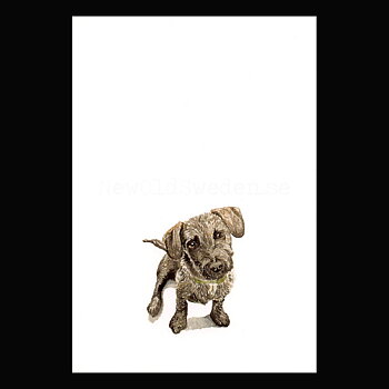 Roo 2020 - Wallace May - Postcard A6 - 1607