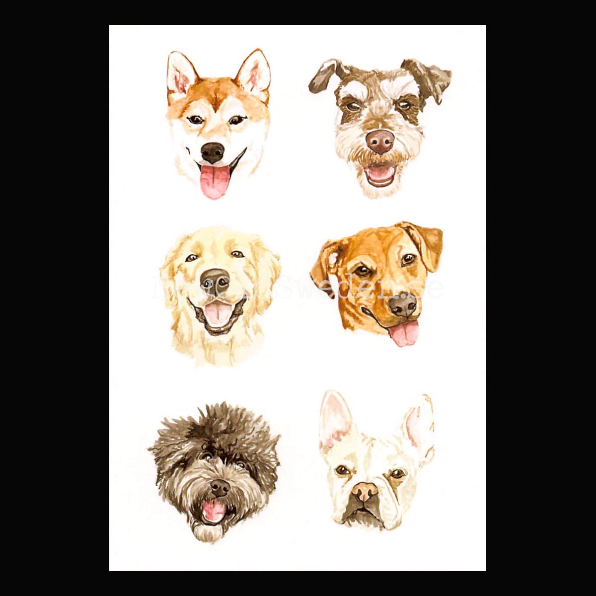Pup Chart 2020 - Wallace May - Postcard A6 - 1607