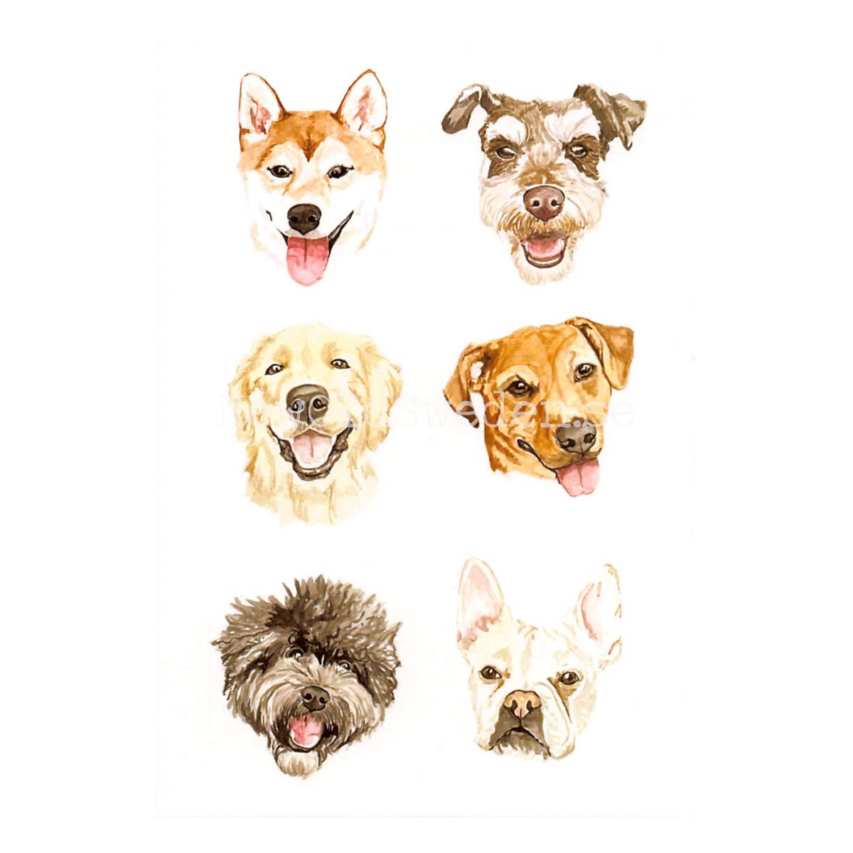 Pup Chart 2020 - Wallace May - Postcard A6 - 1607 - 2