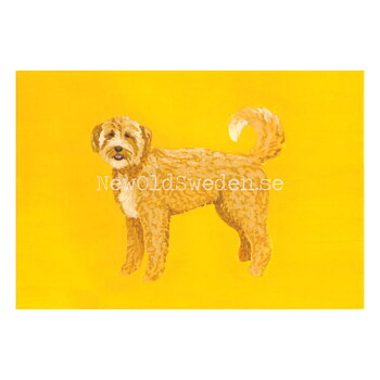Labradoodle 2020 - Mia Johnson - Postcard A6 - 1607