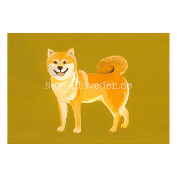Shiba Inu 2020 - Mia Johnson - Postcard A6 - 1607