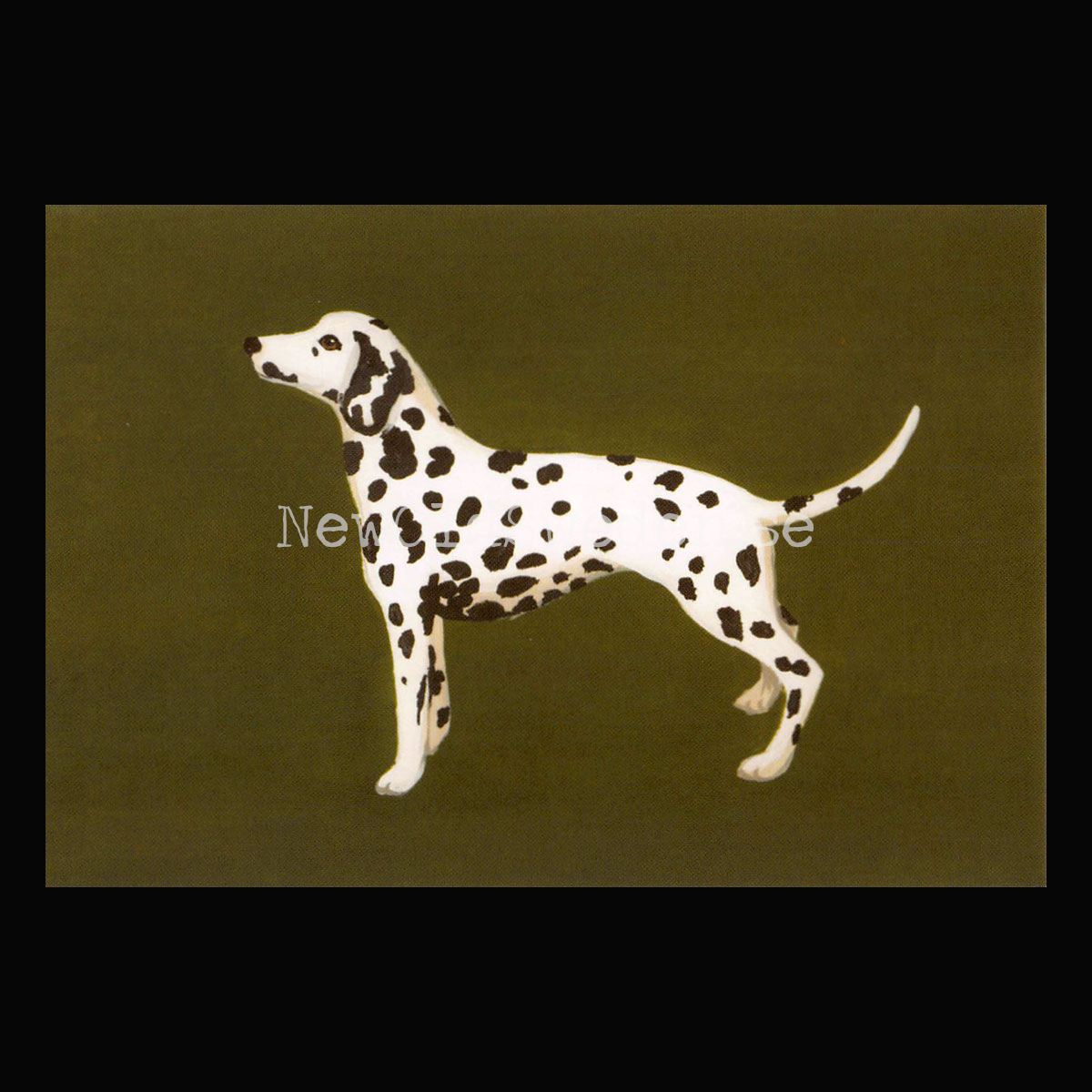 Dalmatian 2020 - Mia Johnson - Postcard A6 - 1607