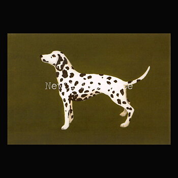 Dalmatian 2020 - Mia Johnson - Postcard A6 - 1607