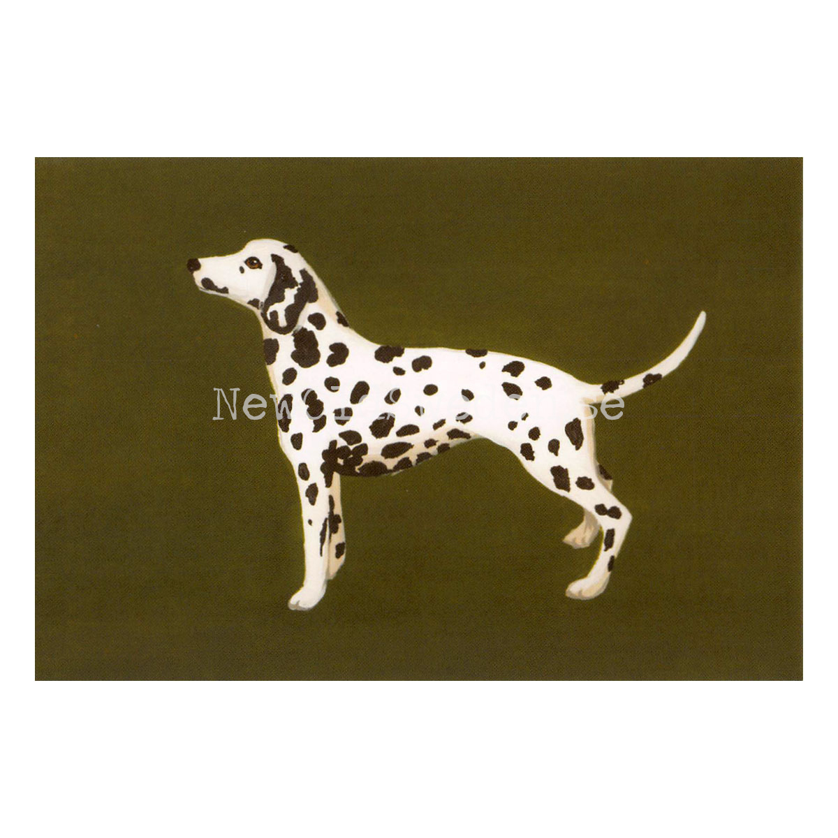 Dalmatian 2020 - Mia Johnson - Postcard A6 - 1607 - 2