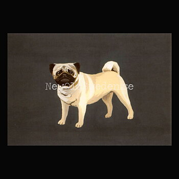 Pug 2020 - Mia Johnson - Postcard A6 - 1607