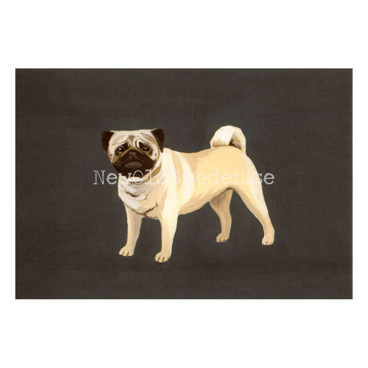 Pug 2020 - Mia Johnson - Postcard A6 - 1607 - 2