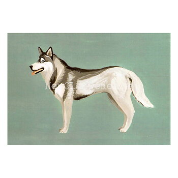Siberian Husky 2020 - Mia Johnson - Postcard A6 - 1607
