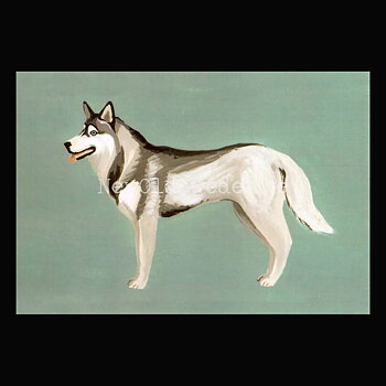 Siberian Husky 2020 - Mia Johnson - Postcard A6 - 1607
