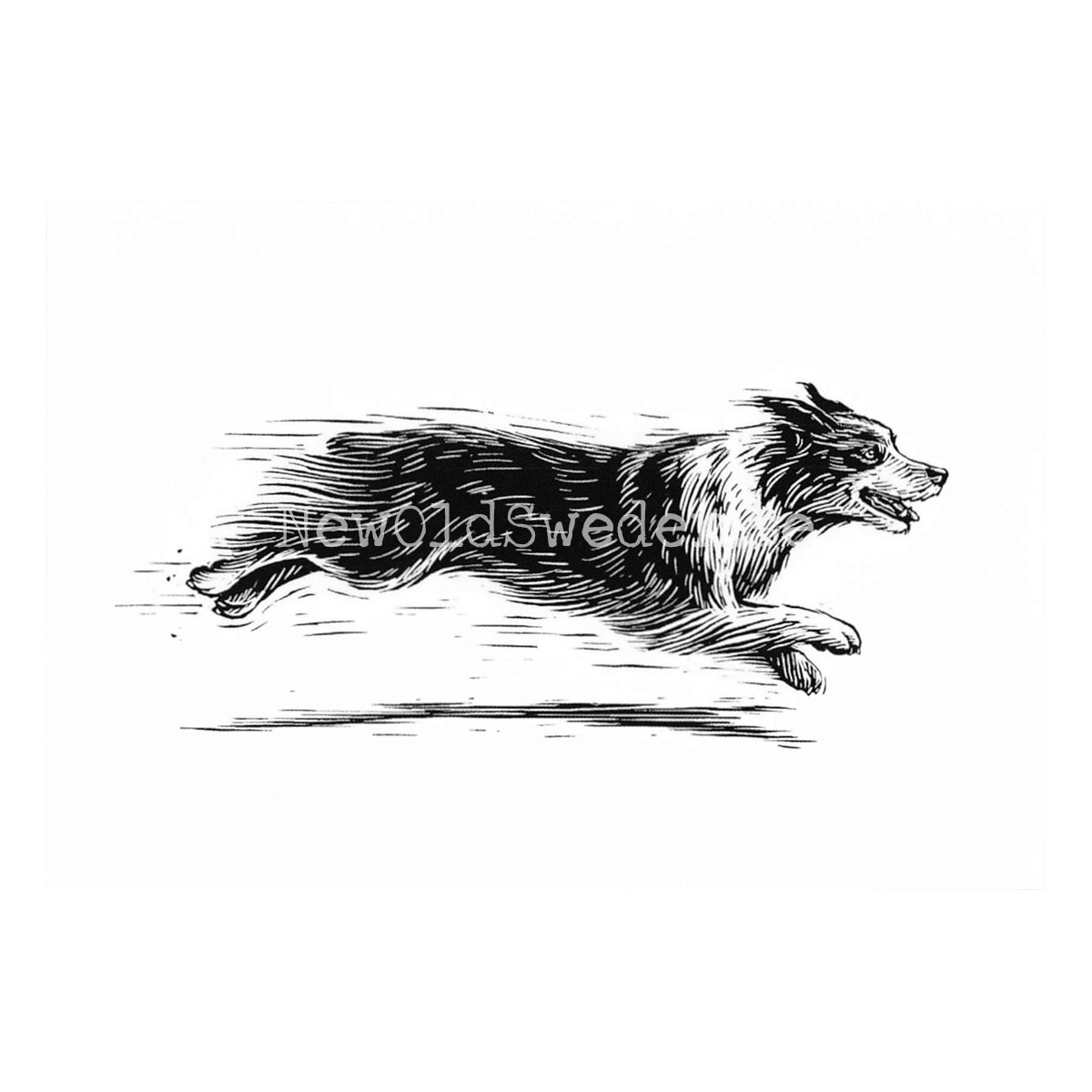 Australian Shepherd 2020 - Dylan Goldberger - Postcard A6 - 1607 - 2