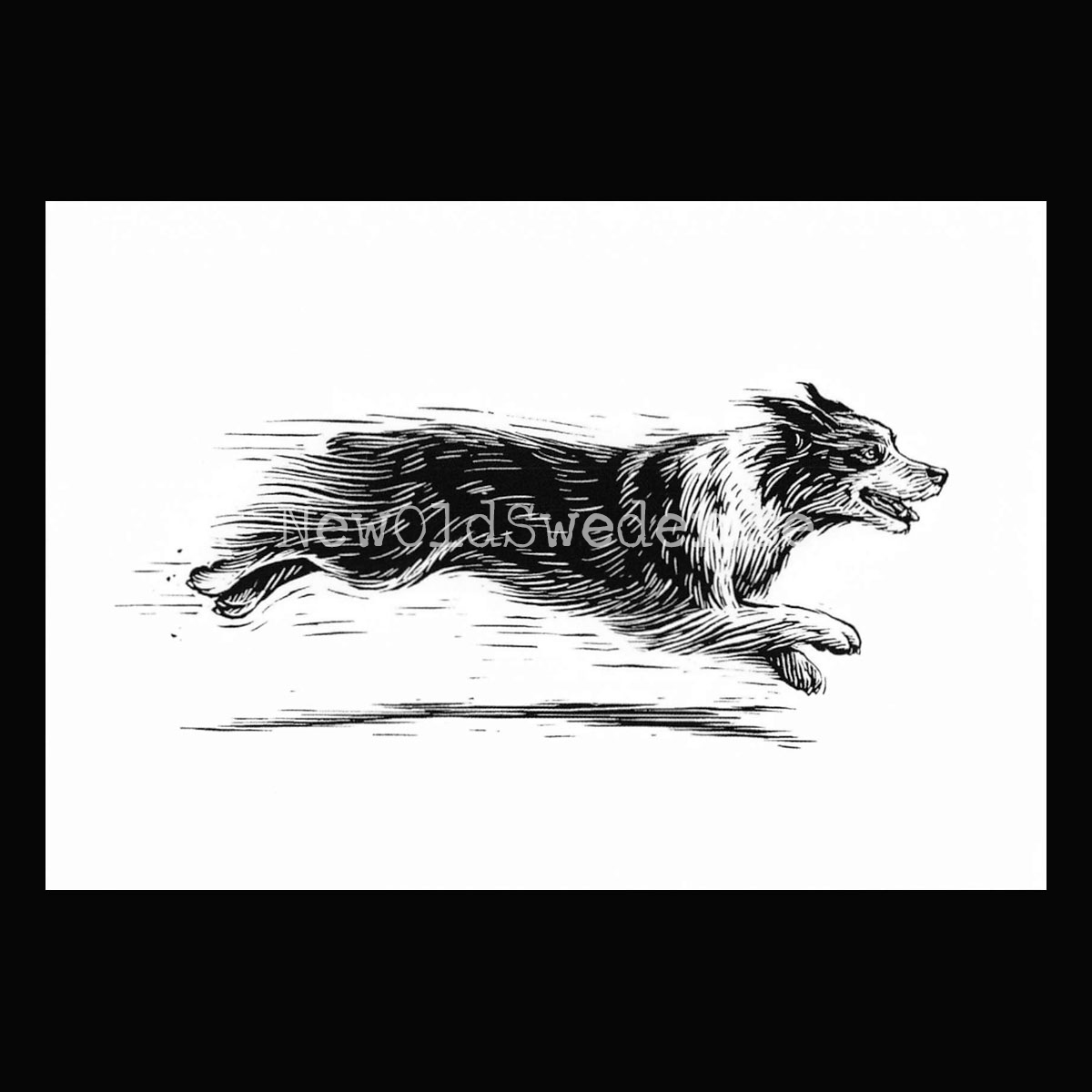 Australian Shepherd 2020 - Dylan Goldberger - Postcard A6 - 1607