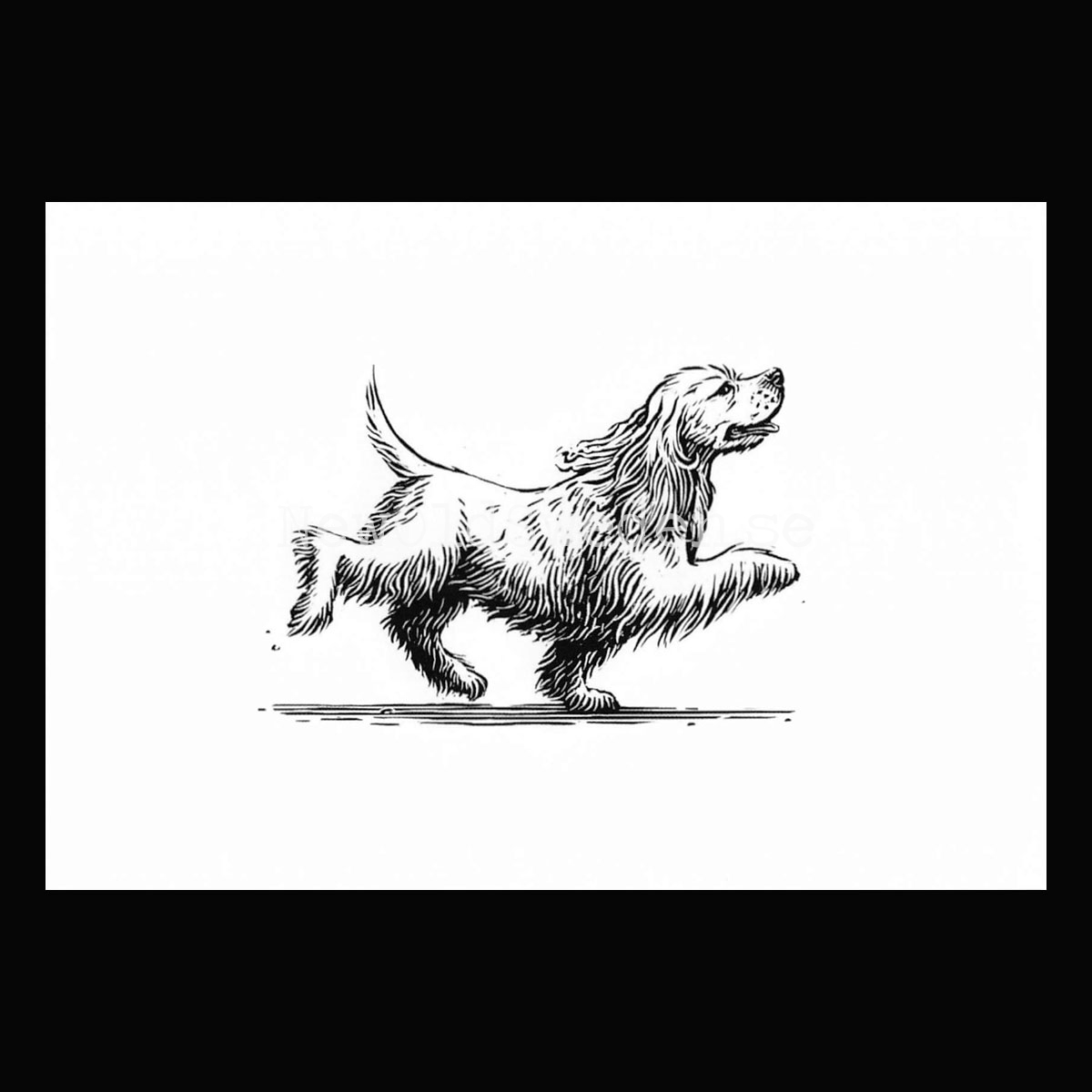 Cocker Spaniel 2020 - Dylan Goldberger - Postcard A6 - 1607