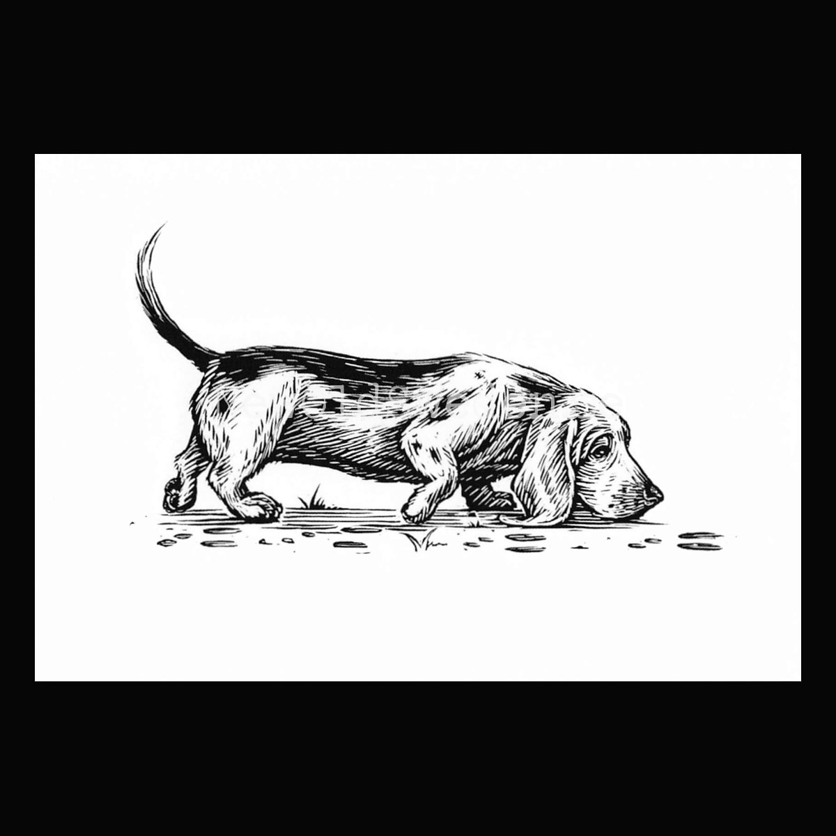 Basset Hound 2020 - Dylan Goldberger - Postcard A6 - 1607